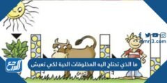 ما الذي تحتاج اليه المخلوقات الحية لكي تعيش 2025 3 ما الذي تحتاج اليه المخلوقات الحية لكي تعيش
