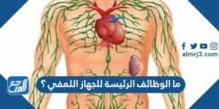 ما الوظائف الرئيسة للجهاز اللمفي ؟