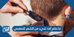 ما حكم أخذ شيء من الشعر للمضحي 2025 2 ما حكم أخذ شيء من الشعر للمضحي