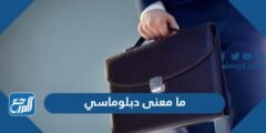 ما معنى دبلوماسي - موقع المرجع