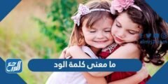 ما معنى كلمة الود - 2025 1 ما معنى كلمة الود - موقع المرجع