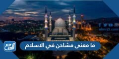 ما معنى مشاحن في الاسلام 2025 2 ما معنى مشاحن في الاسلام