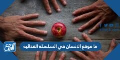 ما موقع الانسان في السلسله الغذائيه 2025 3 ما موقع الانسان في السلسله الغذائيه