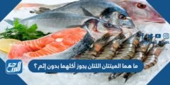 ما هما الميتتان اللتان يجوز أكلهما بدون إثم ؟ 2025 3 ما هما الميتتان اللتان يجوز أكلهما بدون إثم ؟