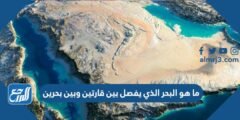 ما هو البحر الذي يفصل بين قارتين وبين بحرين 2025 1 ما هو البحر الذي يفصل بين قارتين وبين بحرين
