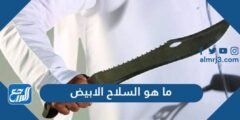 ما هو السلاح الابيض - 2025 1 ما هو السلاح الابيض - موقع المرجع