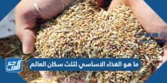 ما هو الغذاء الاساسي لثلث سكان العالم 2025 1 ما هو الغذاء الاساسي لثلث سكان العالم