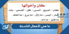 ما هي الأفعال الناسخة - 2025 3 ما هي الأفعال الناسخة - موقع المرجع