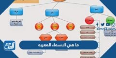 ما هي الاسماء المعربه - 2025 1 ما هي الاسماء المعربه - موقع المرجع