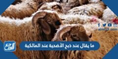 ما يقال عند ذبح الأضحية ابن باز 2025 2 ما يقال عند ذبح الأضحية ابن باز