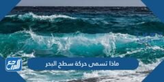 ماذا تسمى حركة سطح البحر 2025 1 ماذا تسمى حركة سطح البحر