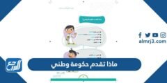 ماذا تقدم حكومة وطني - 2025 3 ماذا تقدم حكومة وطني - موقع المرجع