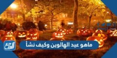 ماهو عيد الهالوين وكيف نشأ 2025 1 ماهو عيد الهالوين وكيف نشأ