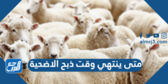 متى ينتهي وقت ذبح الاضحية