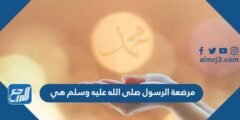 مرضعة الرسول صلى الله عليه وسلم هي 2025 2 مرضعة الرسول صلى الله عليه وسلم هي