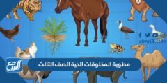 مطوية المخلوقات الحية الصف الثالث ابتدائي