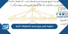 مطوية علوم رابع تصنيف المخلوقات الحية 2025 3 مطوية علوم رابع تصنيف المخلوقات الحية