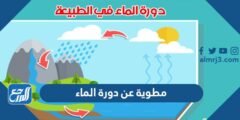 مطوية عن دورة الماء جاهزة للطباعة 2025 1 مطوية عن دورة الماء جاهزة للطباعة