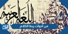 من أدوات ربط الكلام - 2025 3 من أدوات ربط الكلام - موقع المرجع