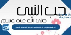 من الأمثلة التي تدل على محبة الرسول صلى الله عليه وسلم للأطفال 2025 2 من الأمثلة التي تدل على محبة الرسول صلى الله عليه وسلم للأطفال