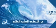 من الانظمه البيئيه المائيه - 2025 3 من الانظمه البيئيه المائيه - موقع المرجع