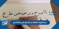 من الحروف النازلة عن السطر في خط النسخ 2025 2 من الحروف النازلة عن السطر في خط النسخ