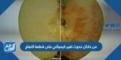 من دلائل حدوث تغير كيميائي على قطعة التفاح 2025 3 من دلائل حدوث تغير كيميائي على قطعة التفاح