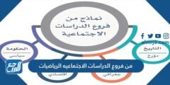 من فروع الدراسات الاجتماعيه الرياضيات 2025 2 من فروع الدراسات الاجتماعيه الرياضيات