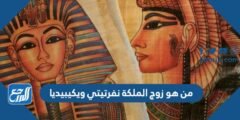 من هو زوج الملكة نفرتيتي ويكيبيديا