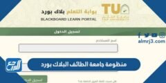 منظومة جامعة الطائف البلاك بورد 2025 2 منظومة جامعة الطائف البلاك بورد
