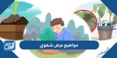 مواضيع عرض شفوي جاهزة - موقع المرجع