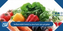 موضوع في حدود عشرة اسطر عن الاطعمة الطازجة وفوائدها