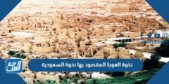 نخوة العوجا المقصود بها نخوة السعودية 2025 2 نخوة العوجا المقصود بها نخوة السعودية