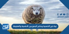 نية ذبح الاضحية وحكم الجمع بين الاضحية والعقيقة 2025 2 نية ذبح الاضحية وحكم الجمع بين الاضحية والعقيقة