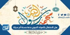 هل الاحتفال بالمولد النبوي بدعة حسنة أم سيئة 2025 2 هل الاحتفال بالمولد النبوي بدعة حسنة أم سيئة