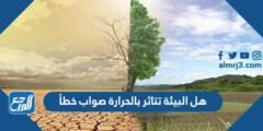 هل البيئة تتأثر بالحرارة صواب خطأ 2025 3 هل البيئة تتأثر بالحرارة صواب خطأ
