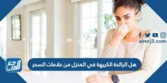 هل الرائحة الكريهة في المنزل من علامات السحر 2025 3 هل الرائحة الكريهة في المنزل من علامات السحر