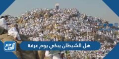 هل الشيطان يبكي يوم عرفة 2025 1 هل الشيطان يبكي يوم عرفة