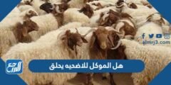 هل الموكل للاضحيه يحلق - موقع المرجع