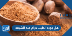 هل جوزة الطيب حرام عند الشيعة 2025 1 هل جوزة الطيب حرام عند الشيعة