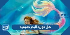 هل حورية البحر حقيقية - 2025 1 هل حورية البحر حقيقية - موقع المرجع