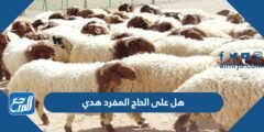 هل على الحاج المفرد هدي 2025 1 هل على الحاج المفرد هدي