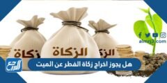 هل يجوز اخراج زكاة الفطر عن الميت 2025 3 هل يجوز اخراج زكاة الفطر عن الميت