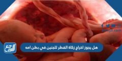 هل يجوز اخراج زكاة الفطر للجنين في بطن امه 2025 3 هل يجوز اخراج زكاة الفطر للجنين في بطن امه