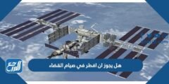 هل يجوز ان افطر في صيام القضاء 2025 2 هل يجوز ان افطر في صيام القضاء