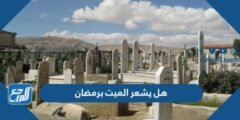 هل يشعر الميت برمضان - 2025 3 هل يشعر الميت برمضان - موقع المرجع