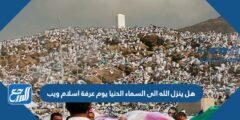 هل ينزل الله الى السماء الدنيا يوم عرفة اسلام ويب