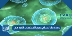وحدة بناء أجسام جميع المخلوقات الحية هي 2025 1 وحدة بناء أجسام جميع المخلوقات الحية هي