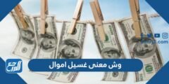 وش معنى غسيل اموال - 2025 3 وش معنى غسيل اموال - موقع المرجع