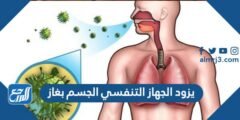 يزود الجهاز التنفسي الجسم بغاز